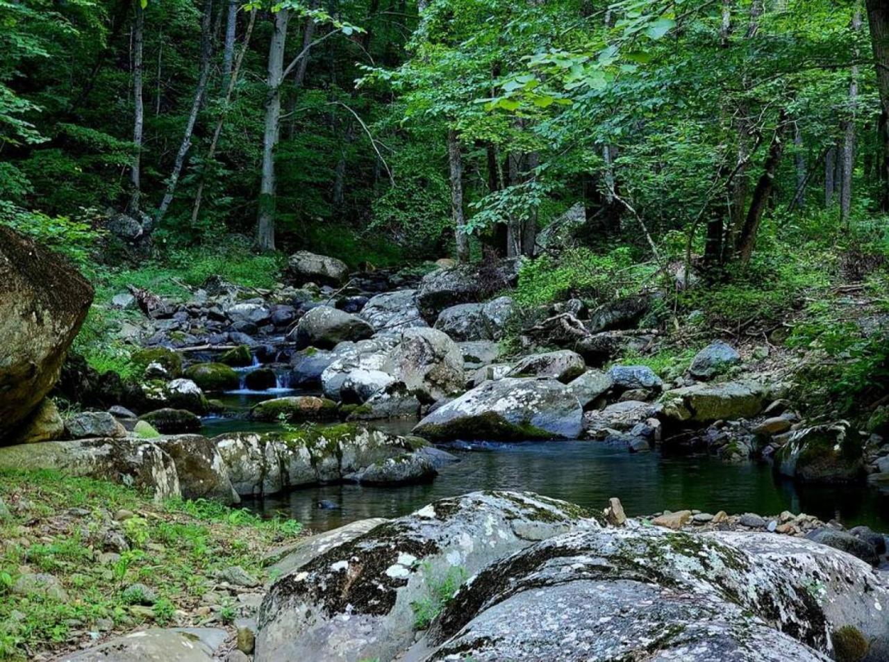 Zen River Retreat *